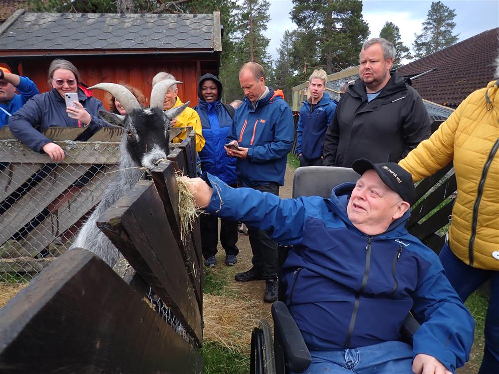 Klikk for stort bilde
