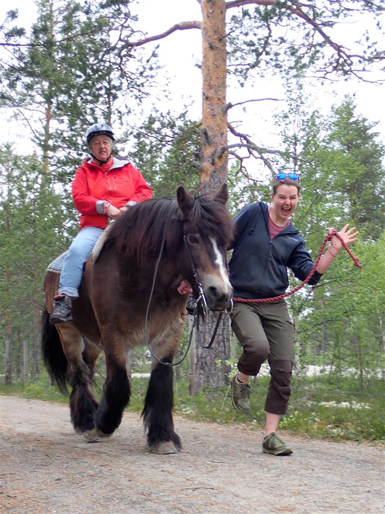 Klikk for stort bilde