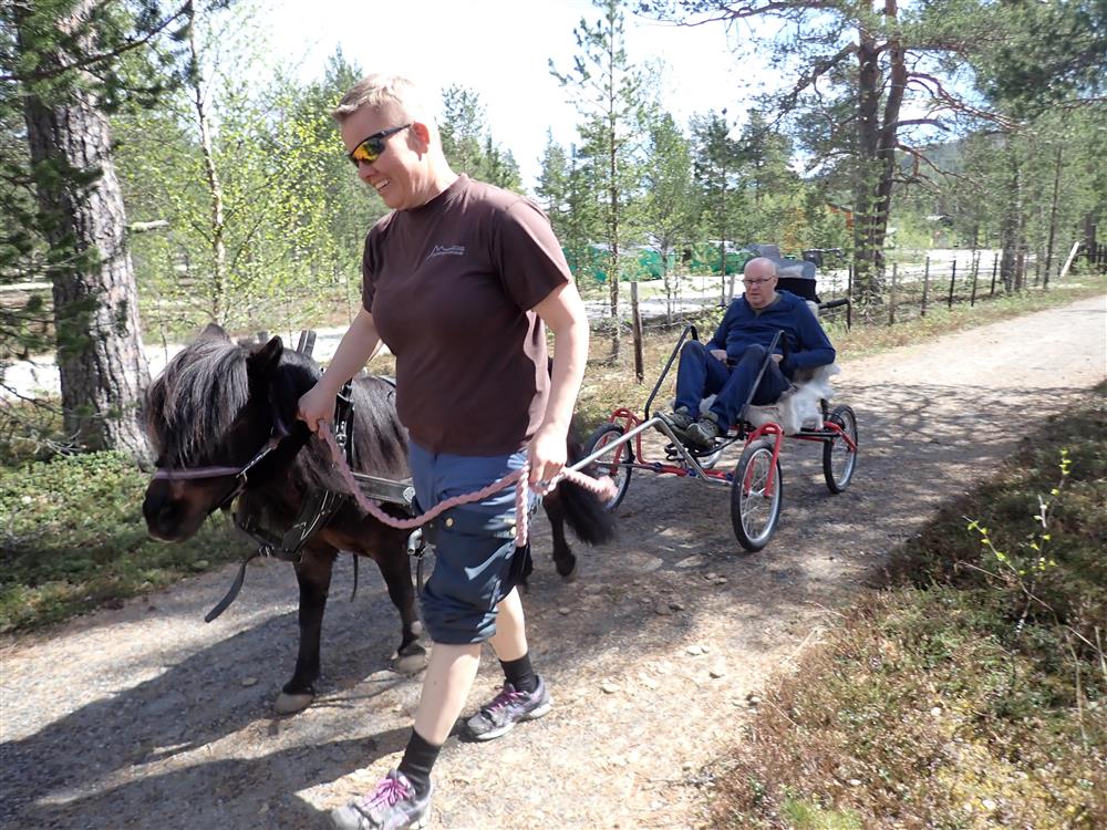 Klikk for stort bilde