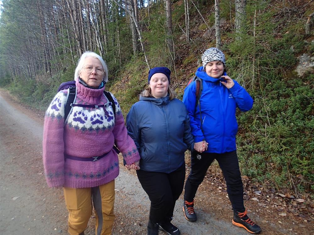 Klikk for stort bilde