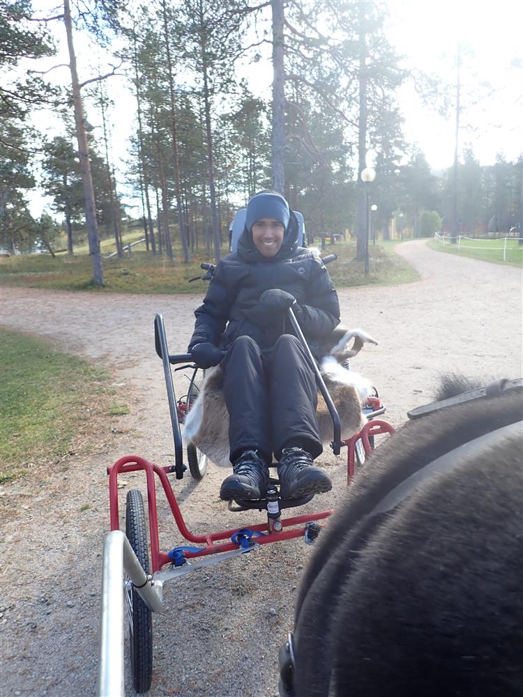 Klikk for stort bilde