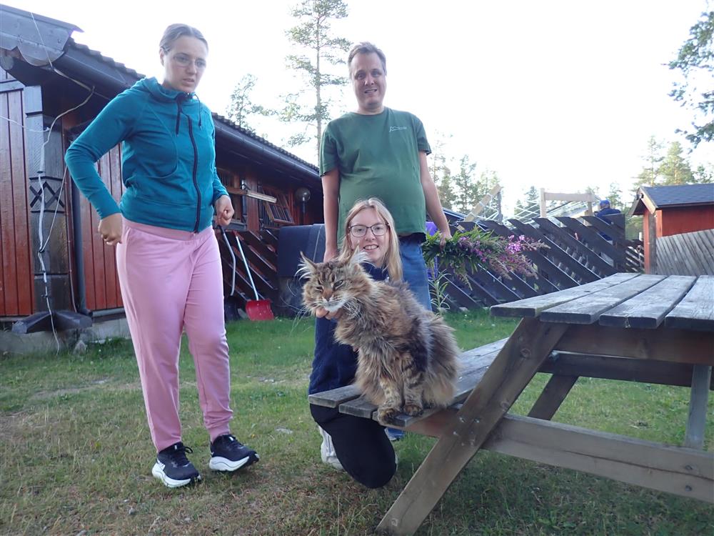 Klikk for stort bilde