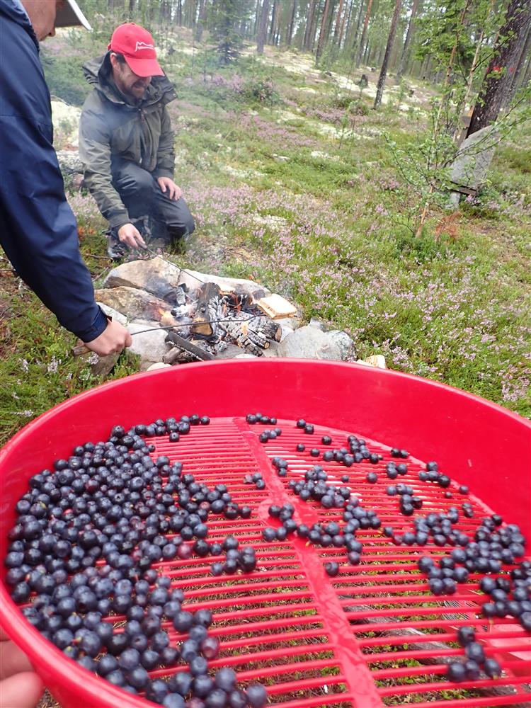 Klikk for stort bilde