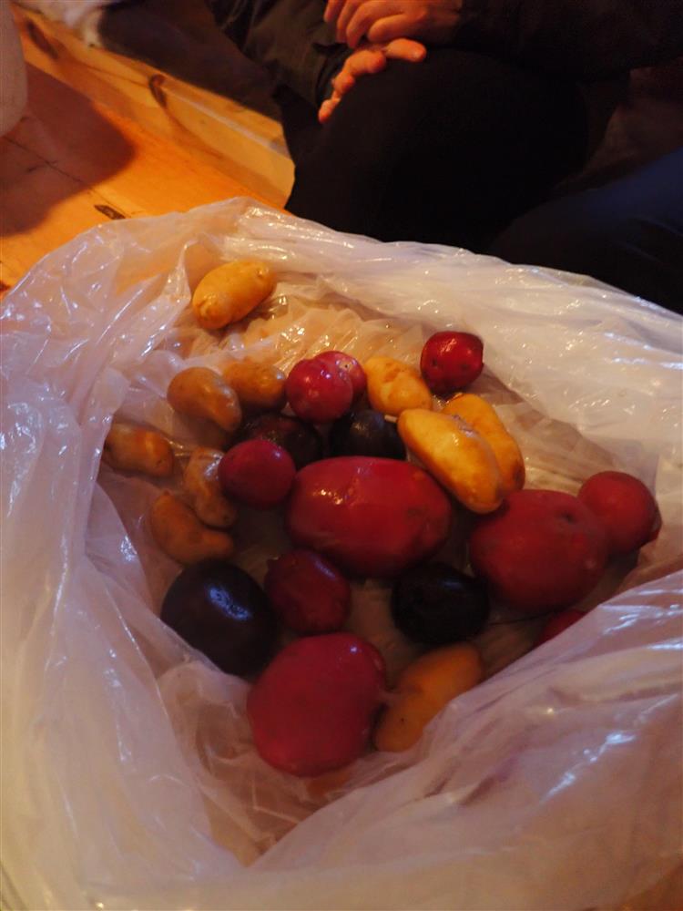 Klikk for stort bilde