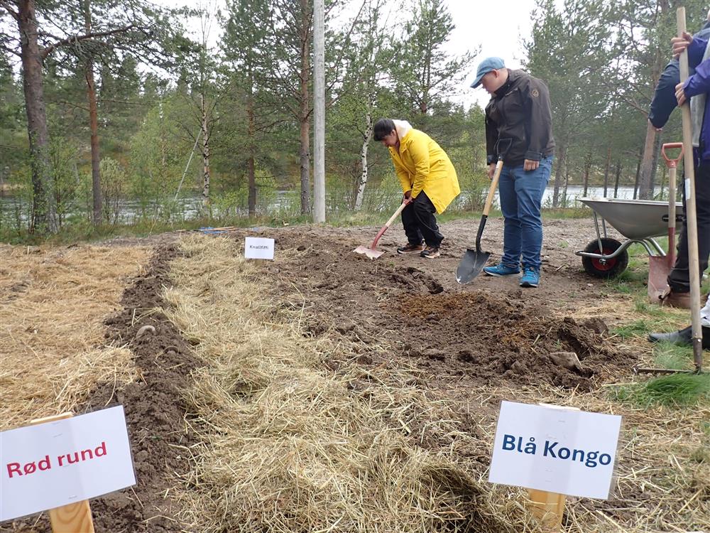 Klikk for stort bilde