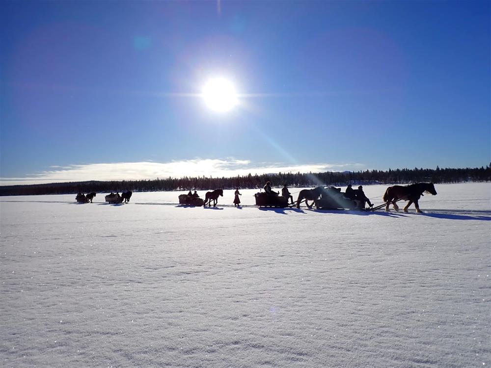 Klikk for stort bilde