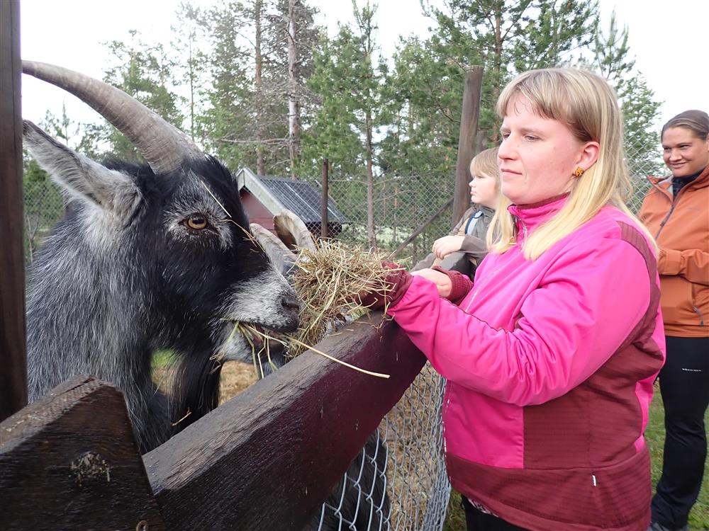 Klikk for stort bilde