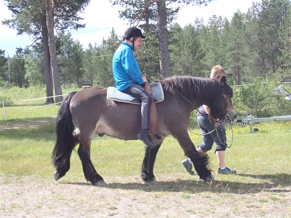 Klikk for stort bilde