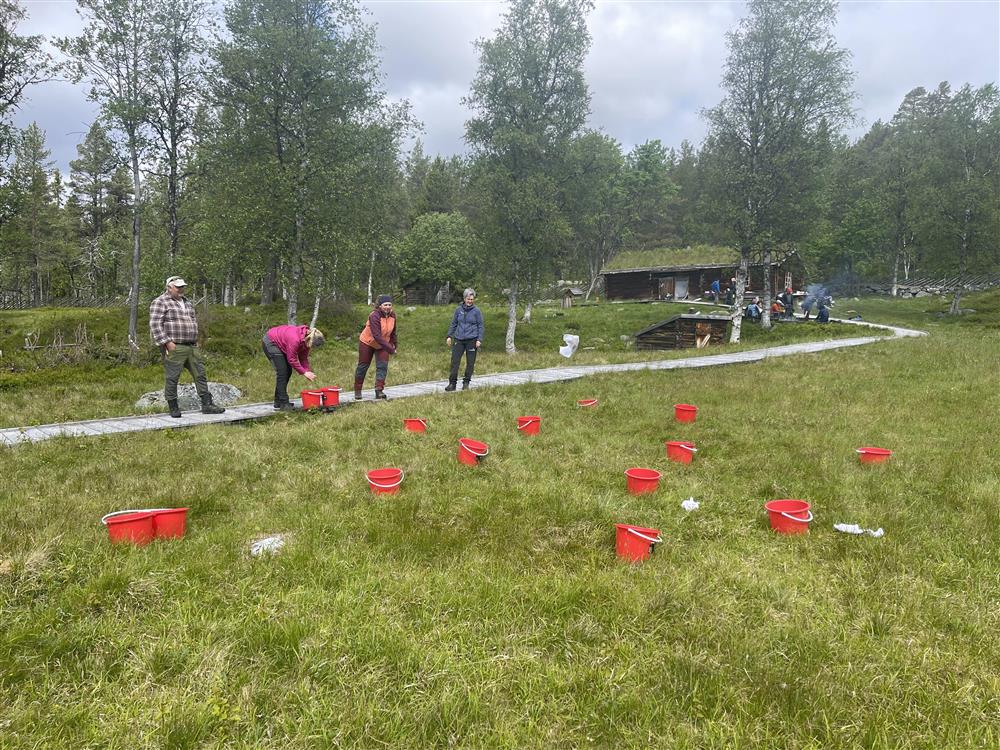 Klikk for stort bilde