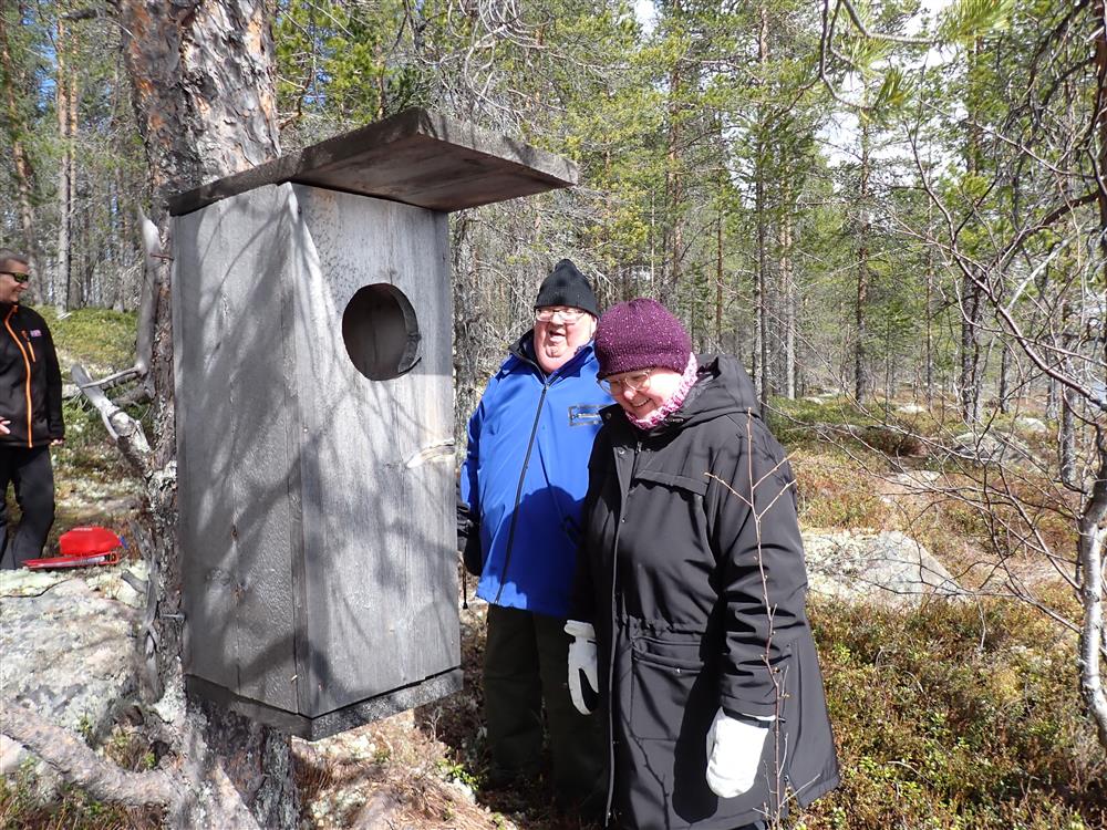 Klikk for stort bilde