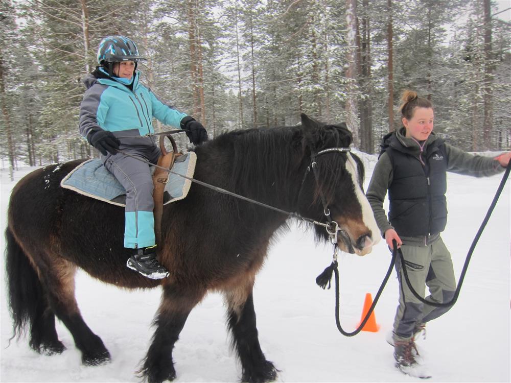 Klikk for stort bilde