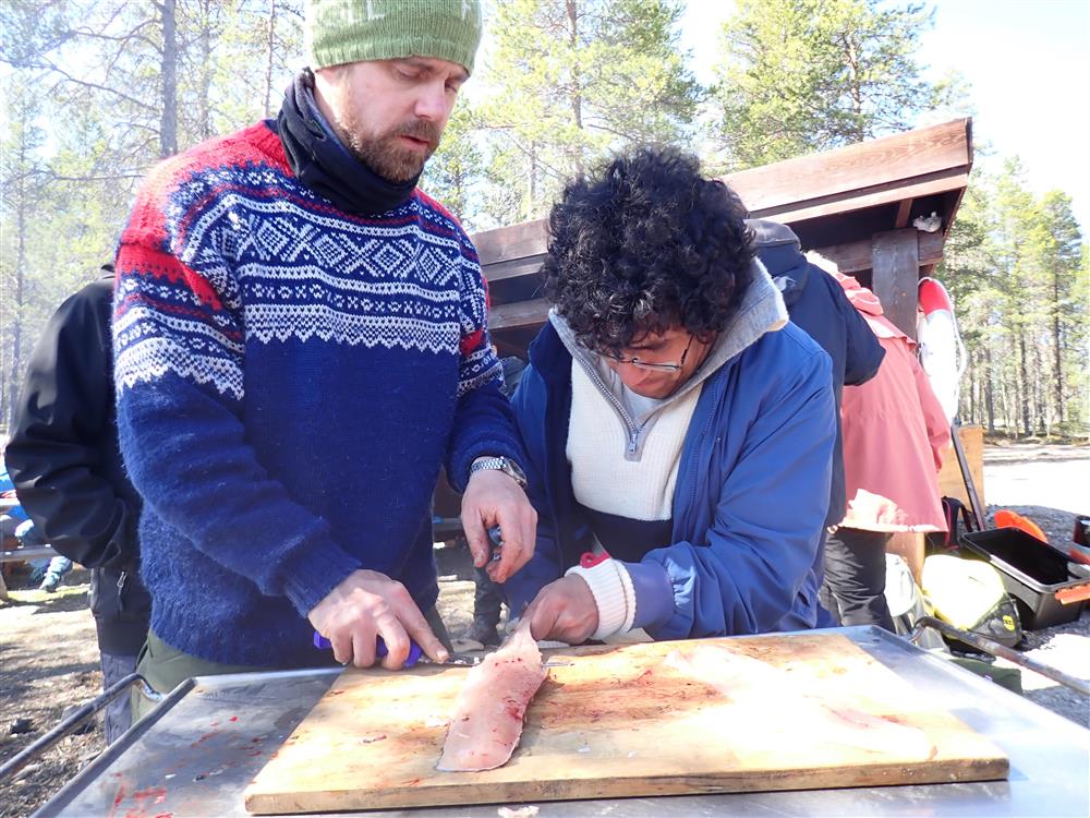 Klikk for stort bilde