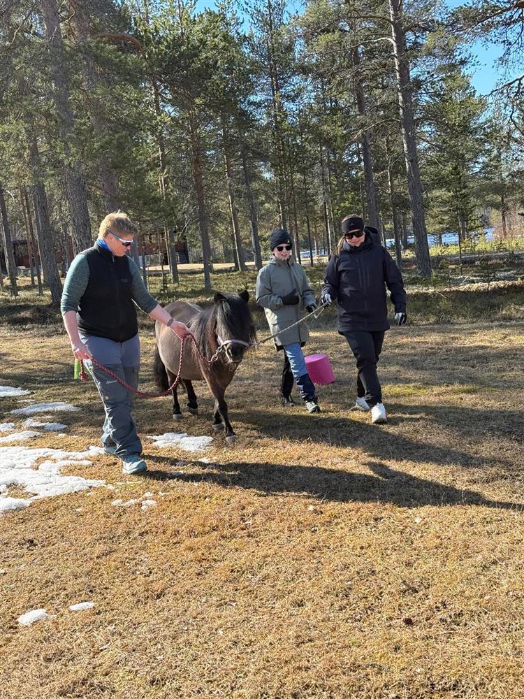 Klikk for stort bilde