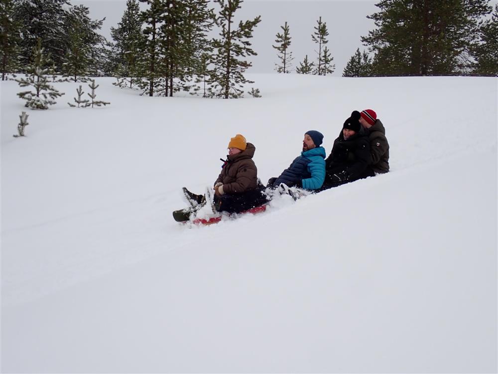 Klikk for stort bilde